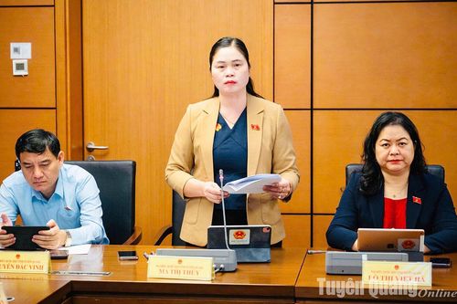 ĐBQH tỉnh thảo luận dự án Luật Quản lý và đầu tư vốn nhà nước tại doanh nghiệp