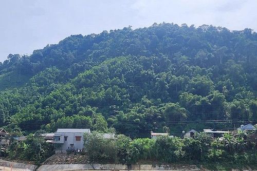 Thanh Hóa: Công nhận kết quả trúng đấu giá quyền khai thác khoáng sản mỏ đất làm vật liệu san lấp tại xã Yên Lạc