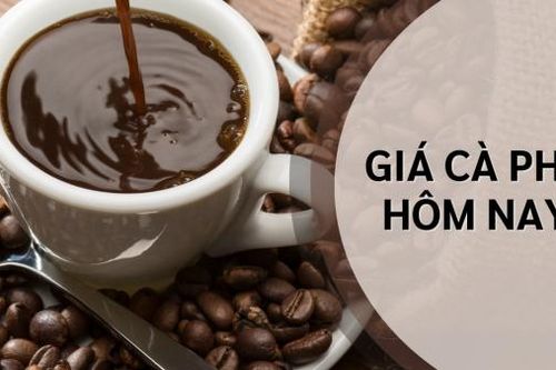 Ngày 23/11: Giá cà phê tăng nhẹ, thị trường hồ tiêu tăng - giảm thất thường