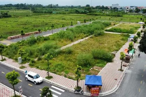 Huyện Thanh Oai tiếp tục đấu giá đất tại xã Đỗ Động