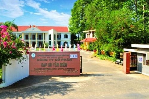 Cao su Tân Biên (RTB): Chủ tịch HĐQT xin từ nhiệm sau hơn 34 năm gắn bó