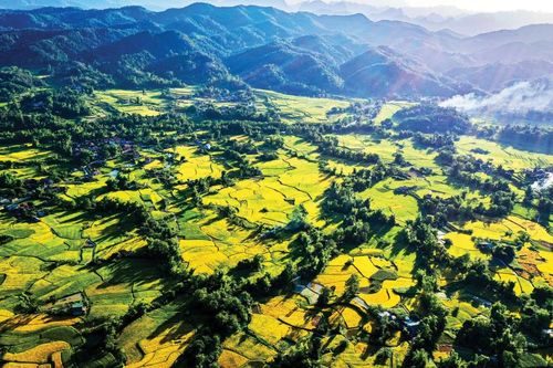 Những ngày chớm đông