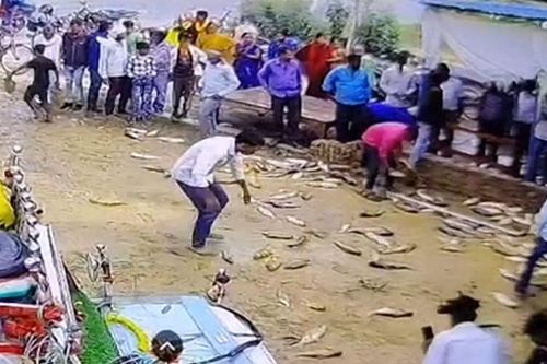 Clip: Thót tim cảnh xe chở cá mất lái, lao thẳng vào tường
