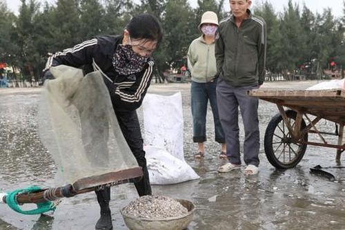 Hàng trăm người dân đua nhau ra cào 'lộc biển'