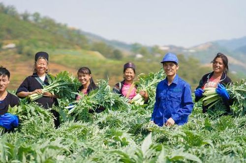 Hành trình 52 năm thực hiện sứ mệnh 'Xanh hóa ngành dược Việt Nam' của Traphaco