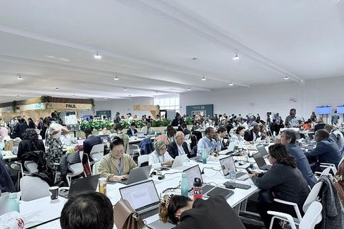 COP29 đạt thỏa thuận tài chính khí hậu và tín chỉ Carbon toàn cầu