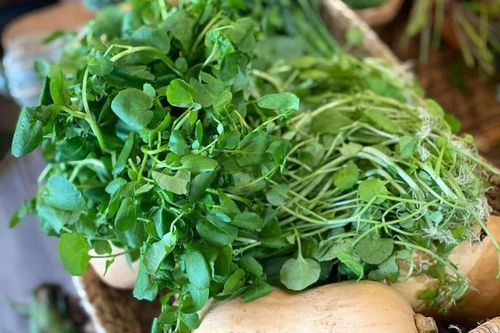 Lý do nên thận trọng khi ăn rau sống