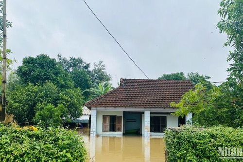 Quảng Ngãi chủ động triển khai các biện pháp ứng phó mưa, lũ