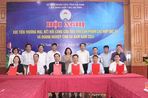 Hà Nam kết nối tiêu thụ sản phẩm các hợp tác xã