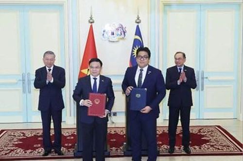 'Cây hữu nghị' đơm hoa kết trái