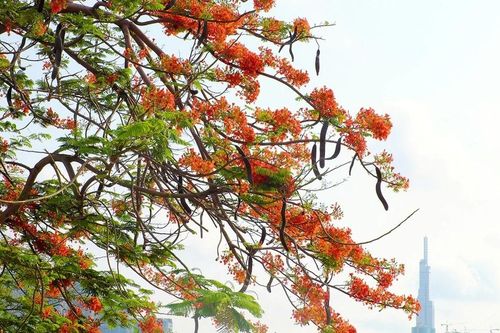 Một ngày làm thầy