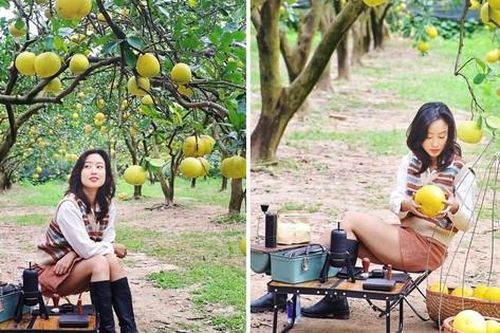 Vườn bưởi Diễn trĩu quả hút hồn du khách Thủ đô