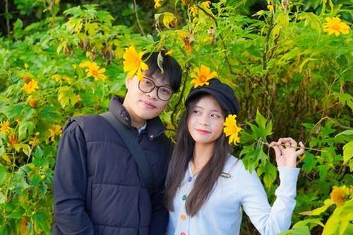 Giới trẻ xếp hàng từ 4 giờ sáng đi săn mây, ngắm hoa dã quỳ