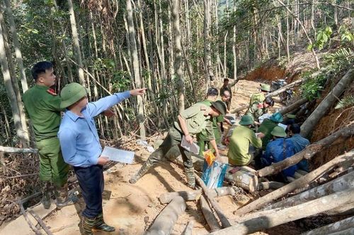 Điều tra vụ phá rừng phòng hộ quy mô lớn ở Bắc Kạn