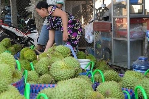Xuất khẩu nông sản dự kiến đạt kỷ lục 62 tỷ USD