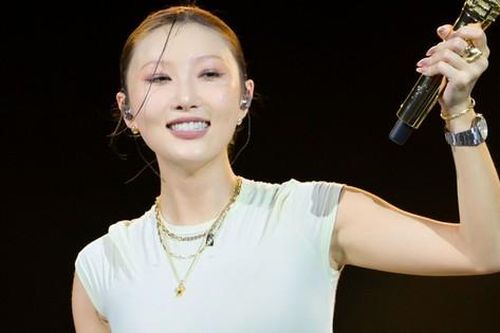 Biểu tượng sexy Hàn Quốc gây tranh cãi khi diễn ở Việt Nam