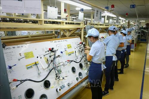 Việt Nam thúc đẩy cơ hội mở rộng hợp tác thương mại với địa phương Argentina