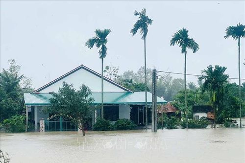 Quảng Ngãi di dời người dân trong đêm do mưa lớn, nước sông dâng cao