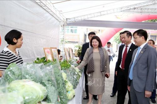 Kết nối tiêu thụ sản phẩm các hợp tác xã