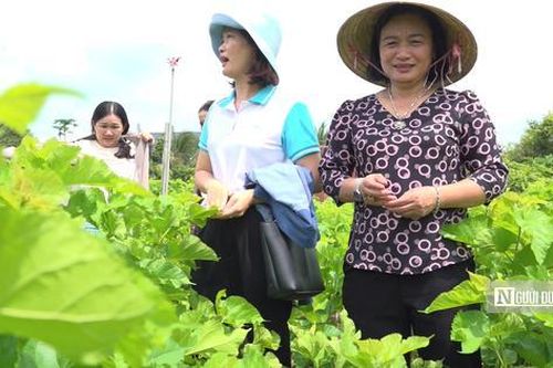 Nuôi con quanh năm ăn lá, nhiều phụ nữ xã vùng biên Bình Phước thoát nghèo ngoạn mục