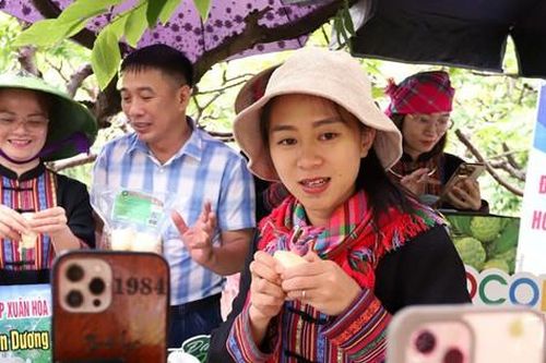 Thái Nguyên: Công nghệ thúc đẩy phát triển kinh tế cho phụ nữ dân tộc thiểu số