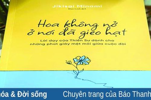 Hoa không nở ở nơi đã gieo hạt
