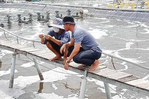 Chuyển đổi xanh: Hướng đi bền vững của ngành thủy sản