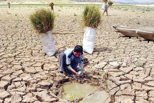 Châu Á - Thái Bình Dương: Đảm bảo tương lai an toàn cho các cộng đồng dễ bị tổn thương