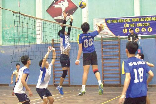 Bóng chuyền học đường & chuyện chuyên nghiệp