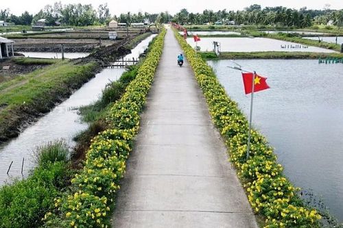 Sóc Trăng: Huy động gần 3.900 tỷ đồng từ nhiều nguồn vốn để xây dựng nông thôn mới