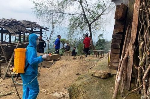 Cao Bằng: Cháu bé 11 tuổi tử vong do bệnh bạch hầu, Sở Y tế chỉ đạo khẩn