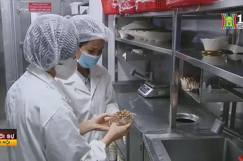 Hà Nội kiểm tra an toàn thực phẩm dịp lễ, tết