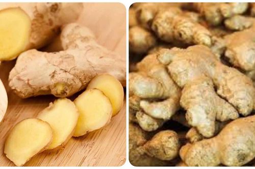 Tác dụng việc ăn gừng cả vỏ
