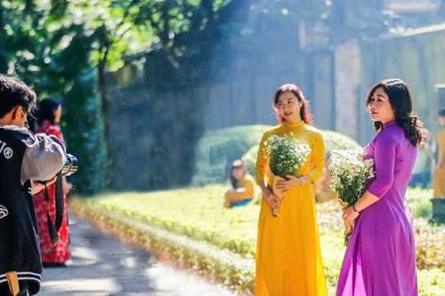 Mùa cúc họa mi gọi đông về