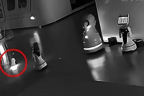 Robot AI rủ 12 con robot khác… bỏ việc