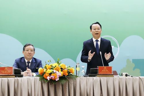 Đấu giá đất giá 'trên trời', Bộ trưởng Bộ Tài nguyên nêu giải pháp kiểm soát