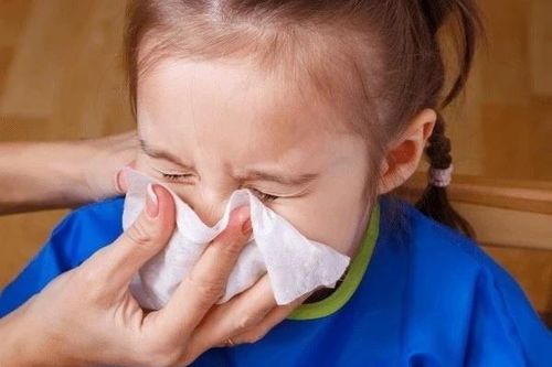 Cách virus hợp bào hô hấp RSV lây lan
