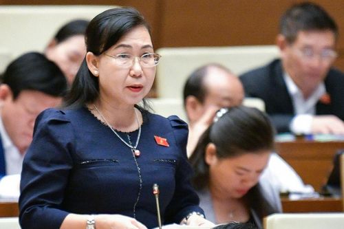 ĐB Quốc hội đề nghị bổ sung điều khoản chuyên biệt về quảng cáo trực tuyến