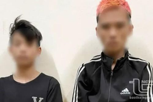 Thái Nguyên: khởi tố, bắt tạm giam 2 đối tượng trộm cắp tài sản
