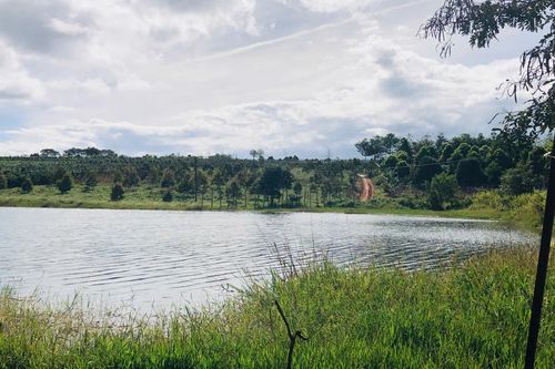 Gia Lai: rủ nhau đi chơi hồ, một học sinh đuối nước thương tâm