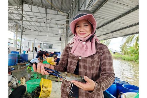 Vĩnh Thuận vươn mình giàu đẹp