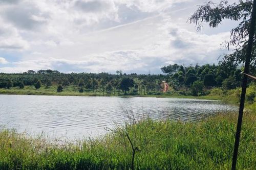 Gia Lai: Đi tắm cùng nhóm bạn, một học sinh lớp 6 tử vong
