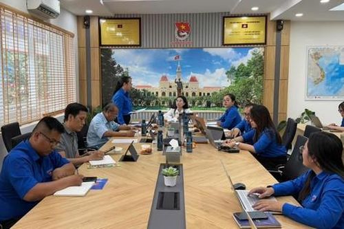 Bí thư Trung ương Đoàn làm việc với Hội đồng Đội TPHCM