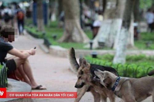 Từ vụ chó thả rông cắn cháu bé 5 tuổi tử vong: Làm sao để không xảy ra sự việc đau lòng tương tự?