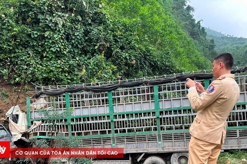Quảng Bình: Xe tải chở bò lao xuống vực, tài xế thiệt mạng