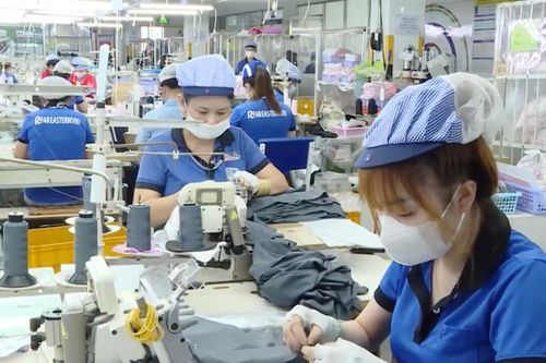 LĐLĐ TP. Hà Nội: 243 bản Thỏa ước lao động tập thể được ký mới, sửa đổi