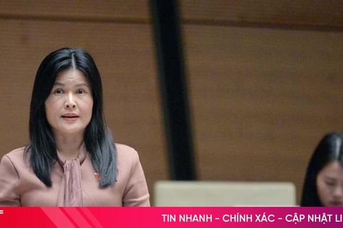 Đại biểu Quốc hội Hà Tĩnh: Cần sửa đổi toàn diện Luật Quảng cáo