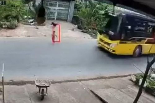 Clip: Bất ngờ lao qua đường, bé trai 3 tuổi va chạm với xe khách tại Hà Giang