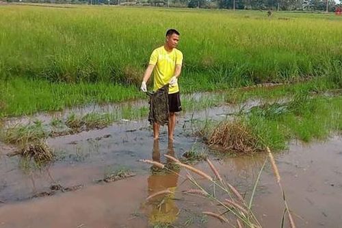 Người đàn ông được thuê cày ruộng, bàng hoàng khi mò trúng một thứ chìm dưới nước