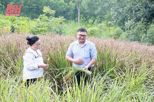 'Ngân hàng tại làng'